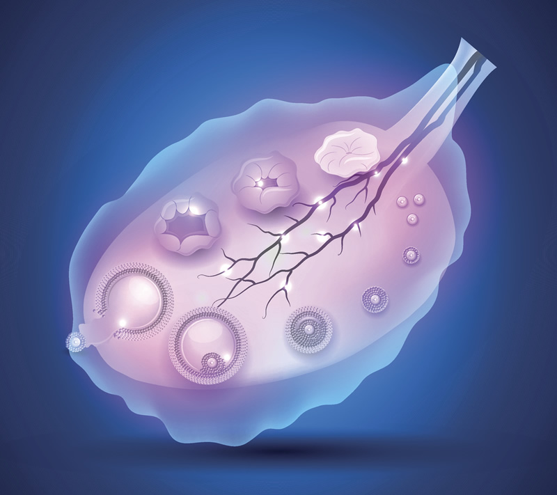 上海鲜胚移植口碑医院与医生精选指南：聚焦高与透明费用，附本地生殖中心对比参考